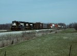 NS 7010